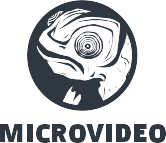 microvideo